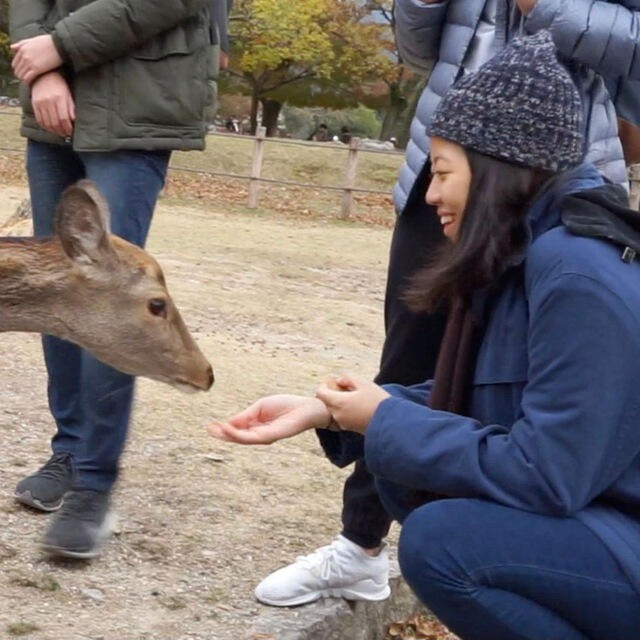 📍fed sika deers! Osaka 🇯🇵