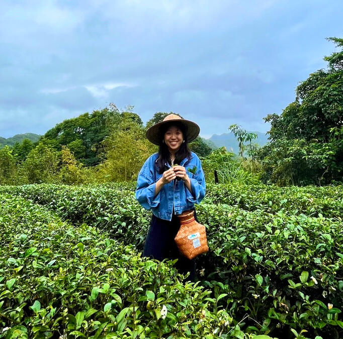 📍picked tea leaves, Nangang 🇹🇼