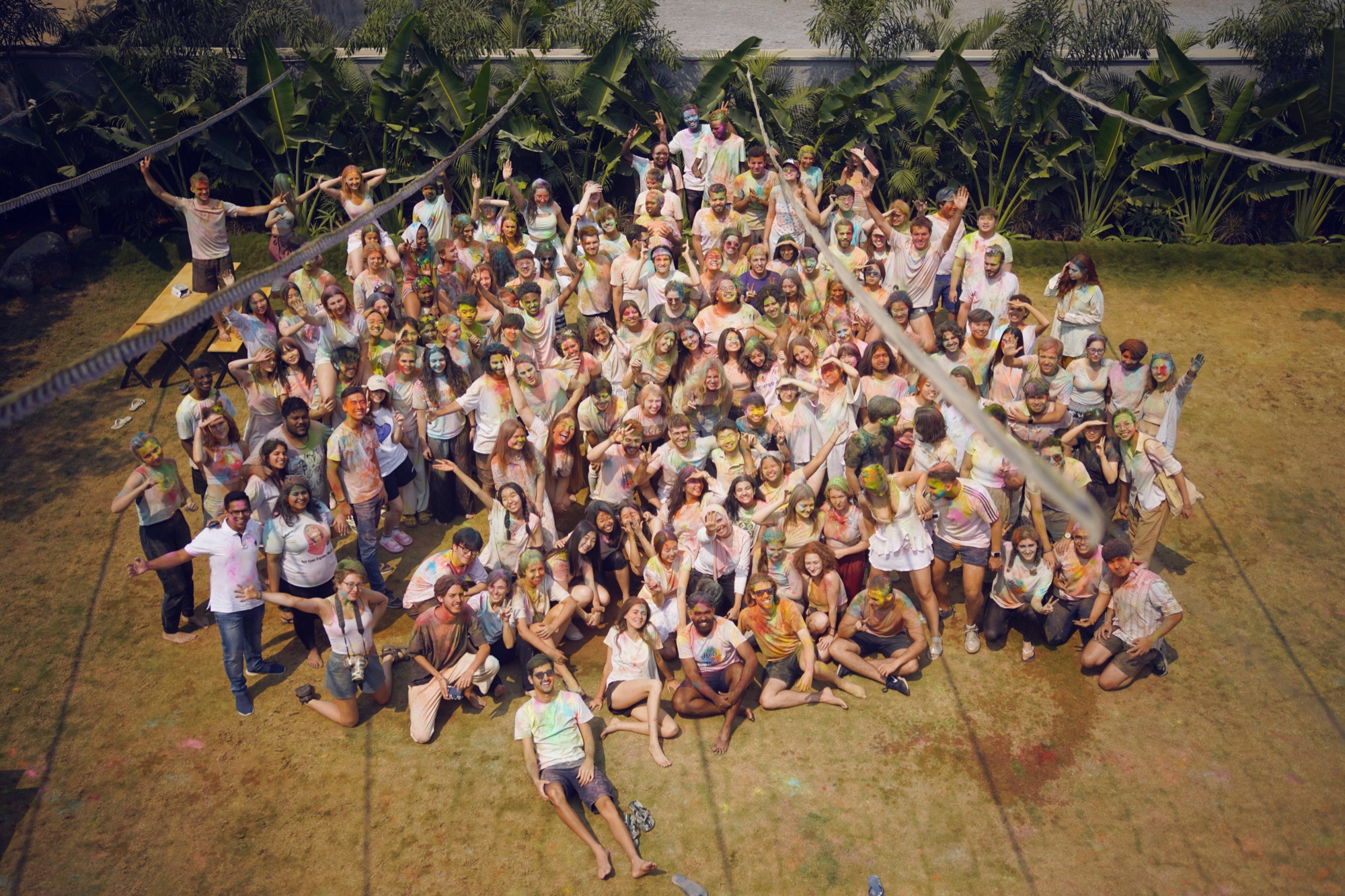 Minerva cohort